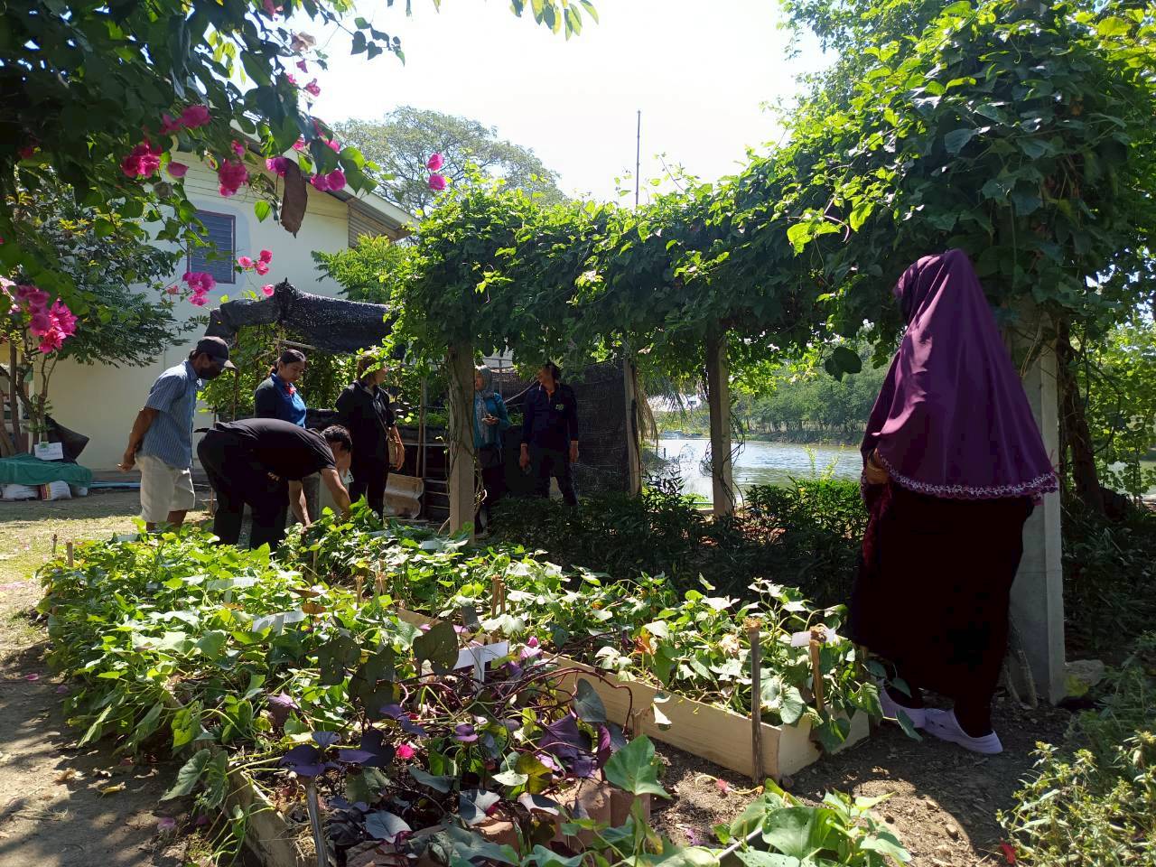 title - ศกร. ร่วมกับ ส.ป.ก.อยุธยา ติวเข้มเกษตรกร ชูโมเดล “โรงอบเคลื่อนที่ - ผัก 3 โลก - มันญี่ปุ่น” เพิ่มทางเลือกสร้างรายได้ในเขตปฏิรูปที่ดิน